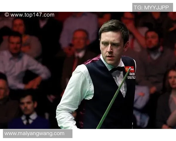 2013年沃顿与霍金斯的精彩对决分析及其影响探讨