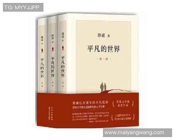 张文钊：从平凡到卓越的奋斗历程与人生启示