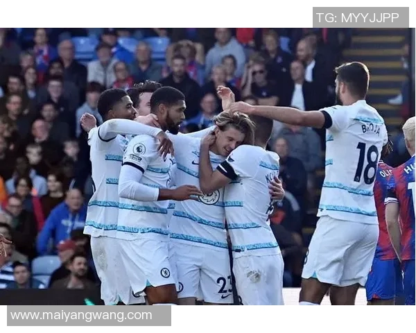 赞岐与东京绿茵的激烈对决谁能在这场较量中笑到最后