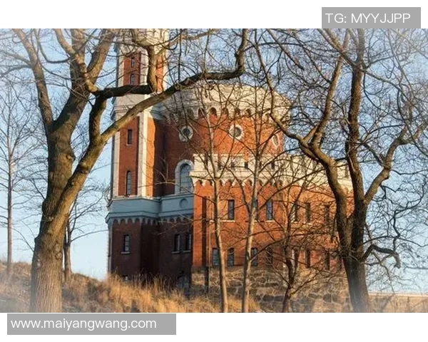 丹麦与瑞典友谊赛因不可抗力因素宣布取消引发广泛关注 丹麦与瑞典友谊赛因不可抗力因素宣布取消引发广泛关注