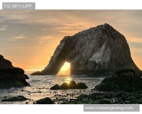探索环球奇观频道带你领略世界奇迹与文化之美的奇幻旅程