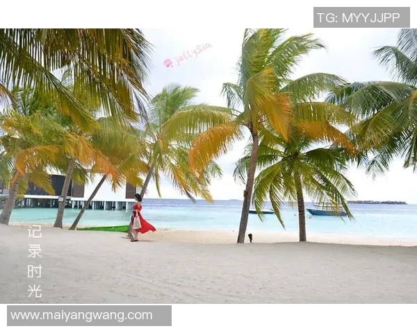 探索海南彩票论坛的魅力与乐趣，畅享热带风情与彩票文化的完美结合