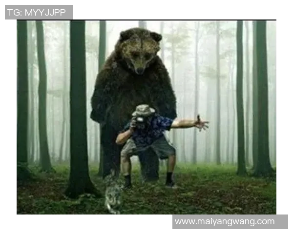 灰熊与棕熊激烈对决视频精彩瞬间回顾与分析