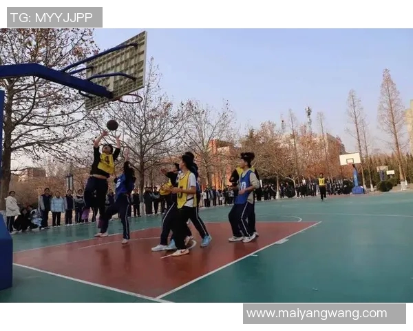 探索球篮的魅力与技巧提升篮球运动的乐趣与竞技水平 探索球篮的魅力与技巧提升篮球运动的乐趣与竞技水平